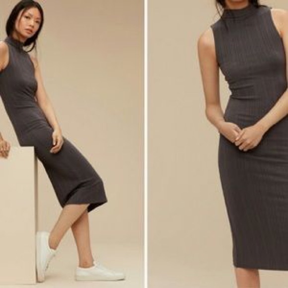 Aritzia midi dress